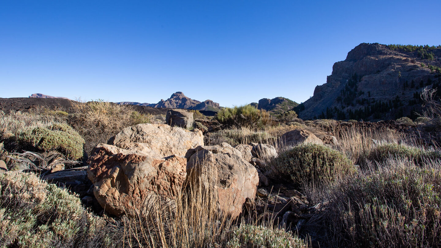 Die einzigartige Caldera de las Cañadas im Teide Nationalpark sunhikes